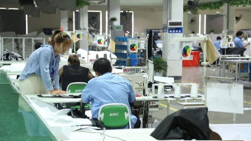 厲害了！湖州新增一中國馳名商標，網絡技術研發實力再獲認可